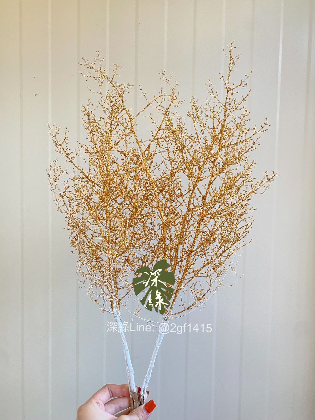 image_5030AE48-4023-409B-A6B9-FB205E5F9AC9_1764567988