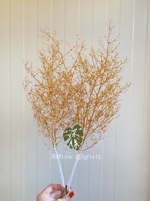 image_5030AE48-4023-409B-A6B9-FB205E5F9AC9_1764567988