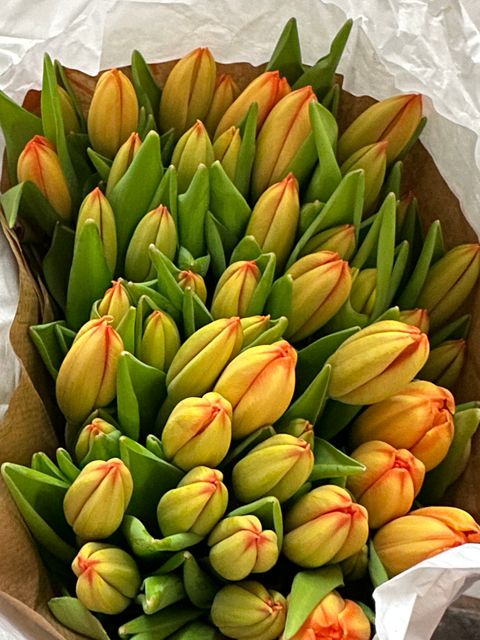 image_A0F4A6E1-1B43-46FF-82AB-6AE9F4DC7FE9_1765767371