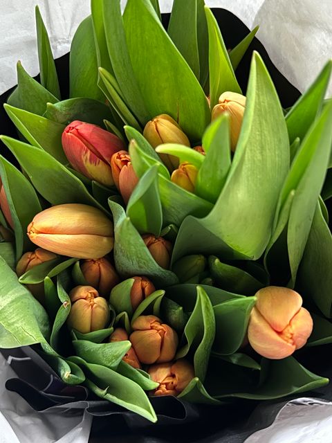 image_07BA0AEF-093E-44B4-909F-DAB5F9E87504_1765767413