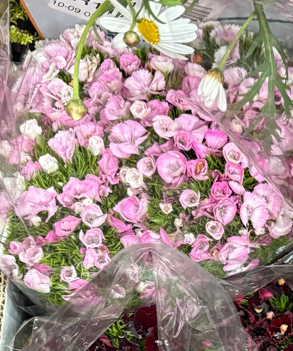 0BE2C109-888D-489C-B986-C47E1E5D44CA