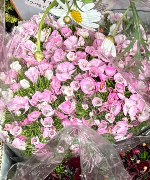 0BE2C109-888D-489C-B986-C47E1E5D44CA