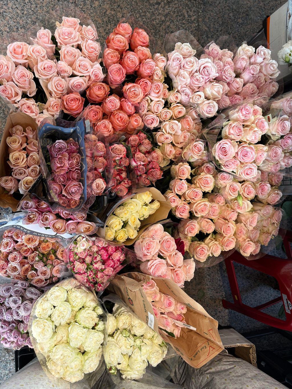 image_FF61677E-385C-4A92-B618-8EE273FF3D56_1765857620