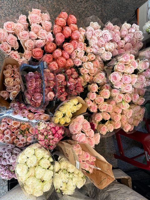 image_FF61677E-385C-4A92-B618-8EE273FF3D56_1765857620