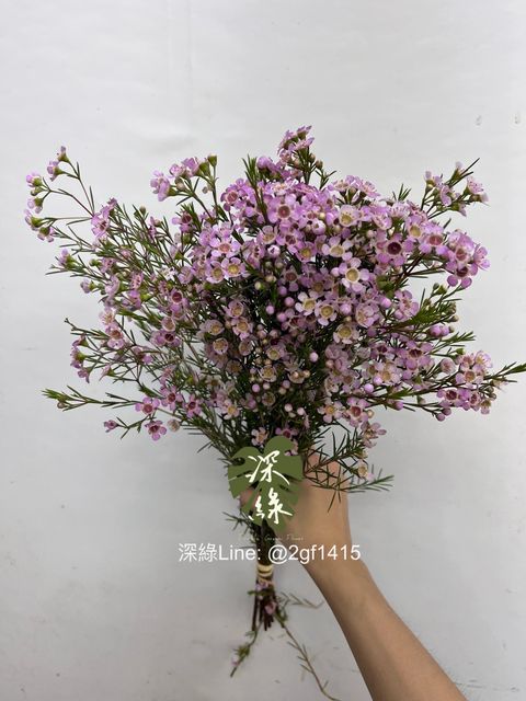 image_BAD52650-E9DD-4D13-BFD5-AEB7C0F416B8_1757910882