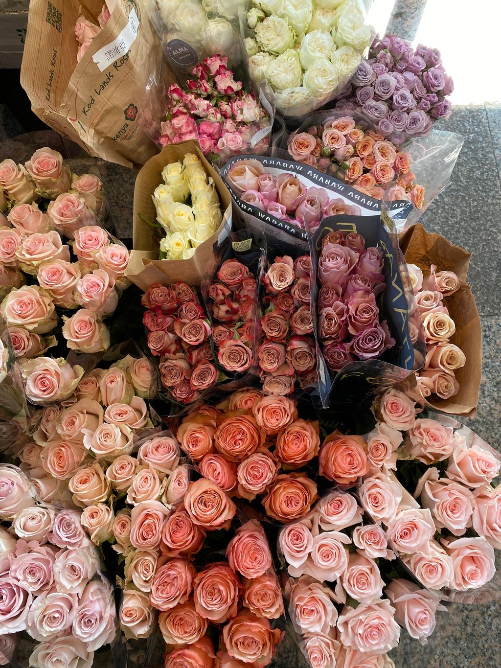 image_D98C8029-8349-400B-82A7-0FBD1D582387_1765870176