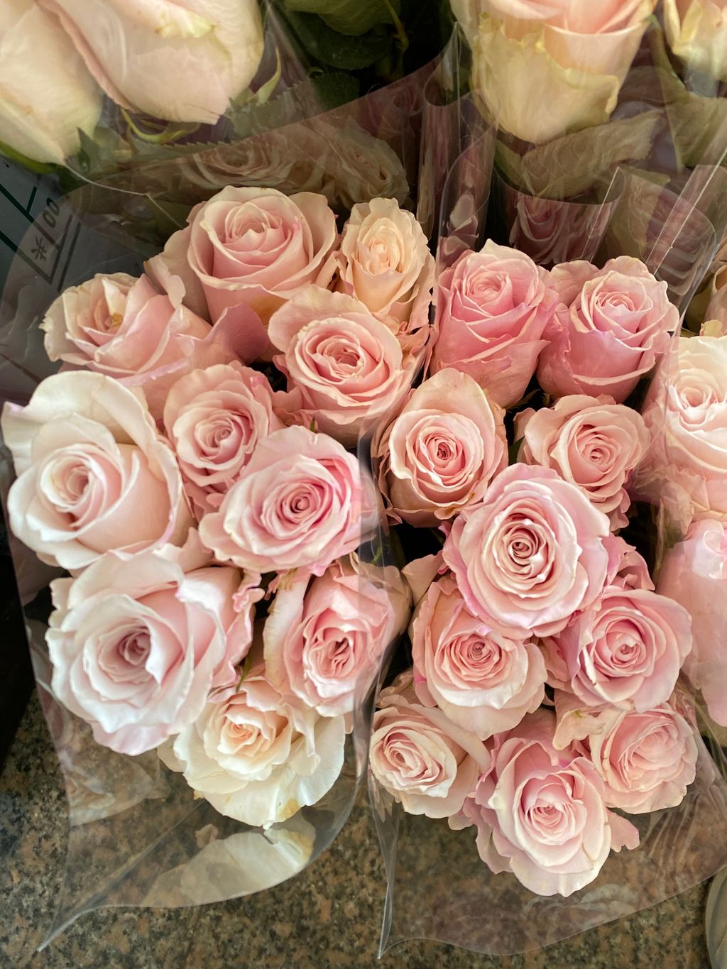 image_8043F03A-CCF2-4AEC-92EC-CCEF4DDCD4E5_1765870176