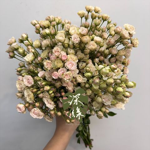 image_F31F2948-4D29-4139-9E15-F5196AC05862_1765945406