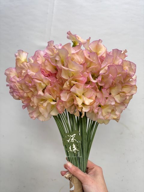 image_127FF3EB-BC64-41F2-855C-E427B2324307_1765948075