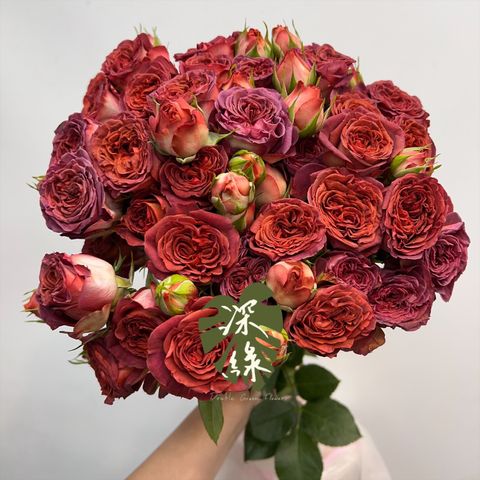 image_42D8B6E7-EBB7-4014-89D1-845ABE9F7355_1765960681