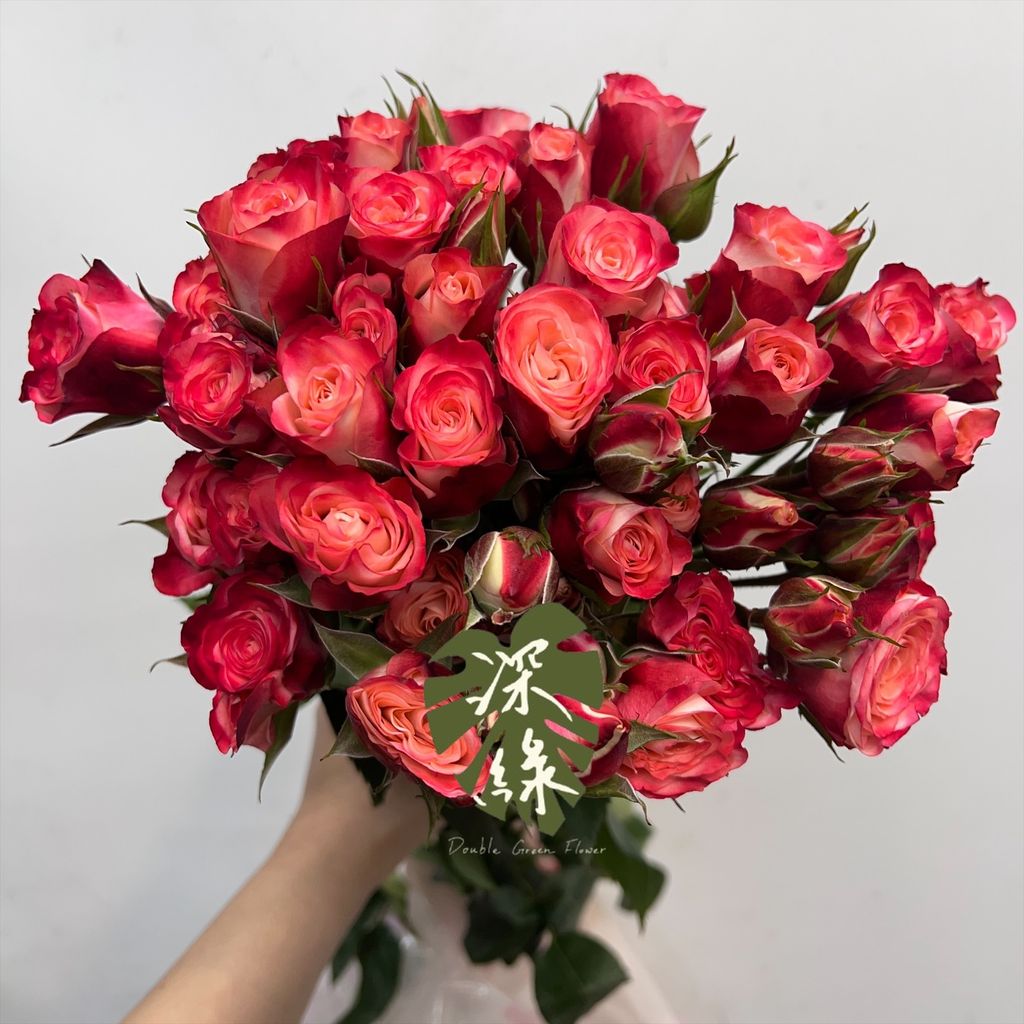 image_412D0900-FEEB-4D58-8332-0BDA9C97438D_1765960703