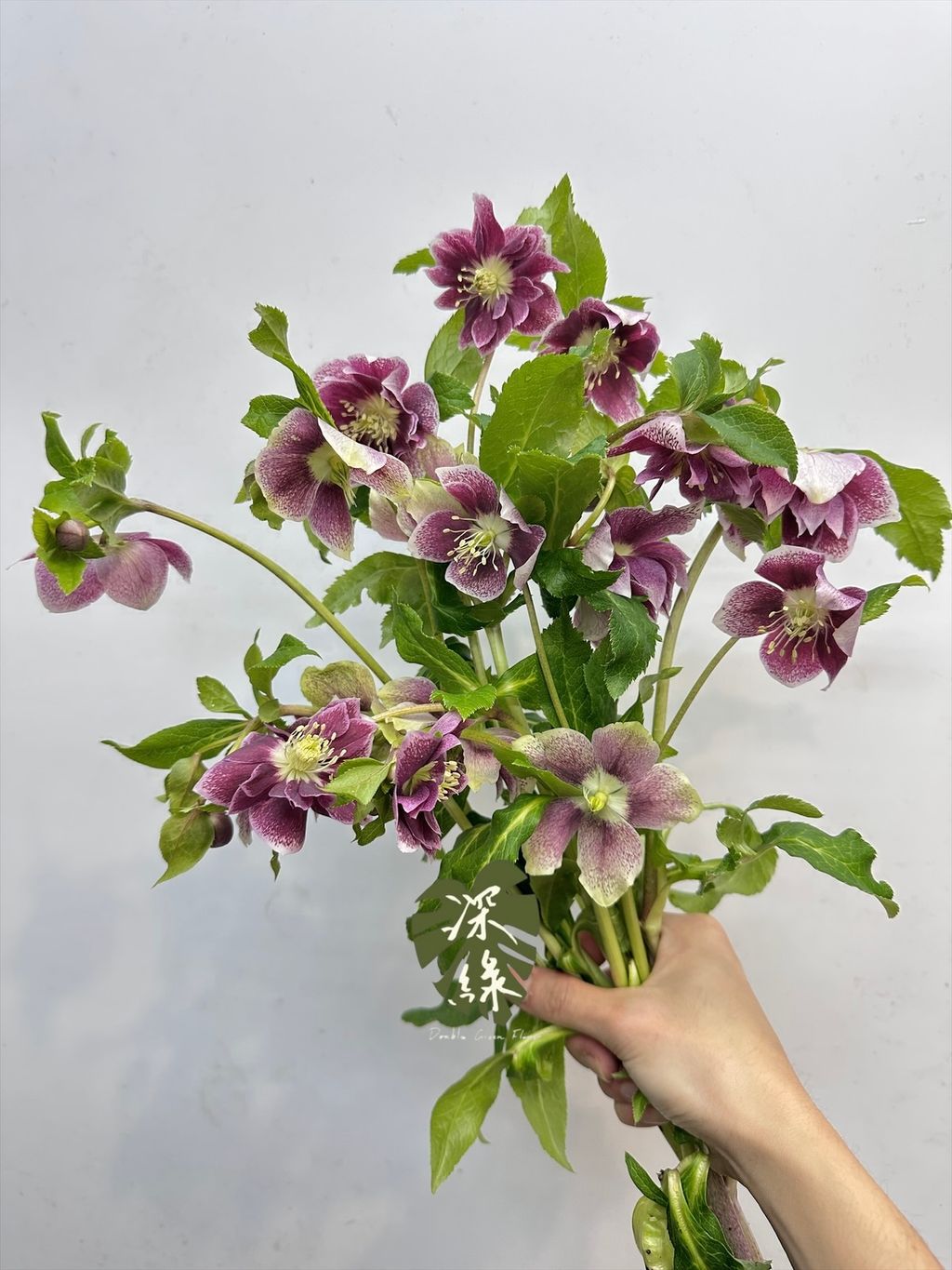 image_DA85A4B8-9A34-4689-99AA-8C67AE58C3C9_1766034335