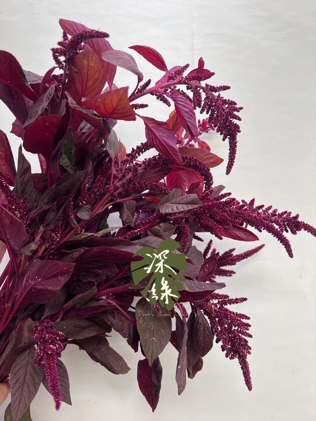 image_7C410CAE-68A0-4C98-A554-D97EF59CC686_1766034857