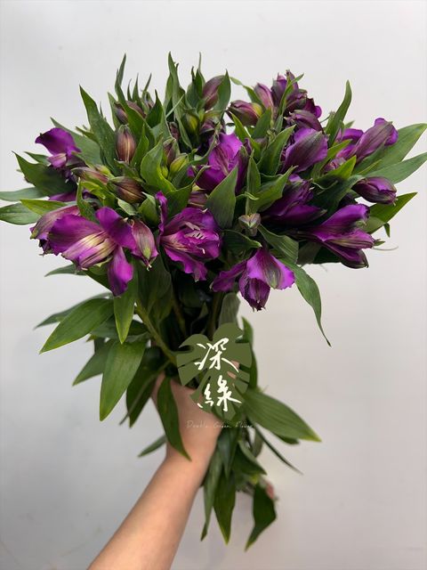 image_29AA11ED-CB28-4117-9364-798D41D30D77_1766087413