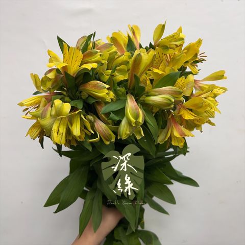 image_E90D4406-6421-4F46-8567-D0157CD1DAC9_1766112921