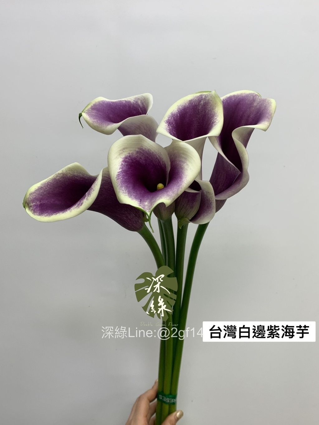 0C18DD87-C038-496B-B6C2-1F1D818AEB7C