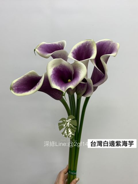 0C18DD87-C038-496B-B6C2-1F1D818AEB7C