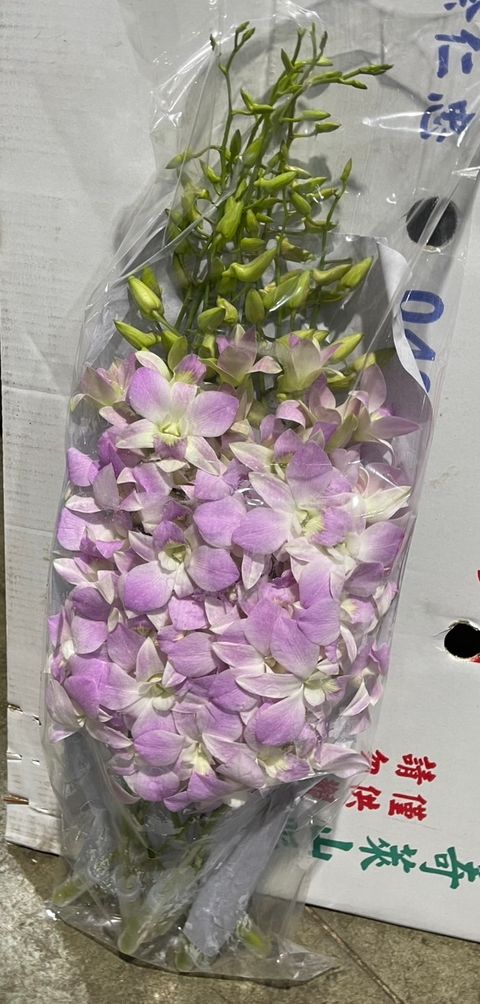 image_DCD57B51-E87A-462D-BEC6-5A72FC70B2D3_1766297480