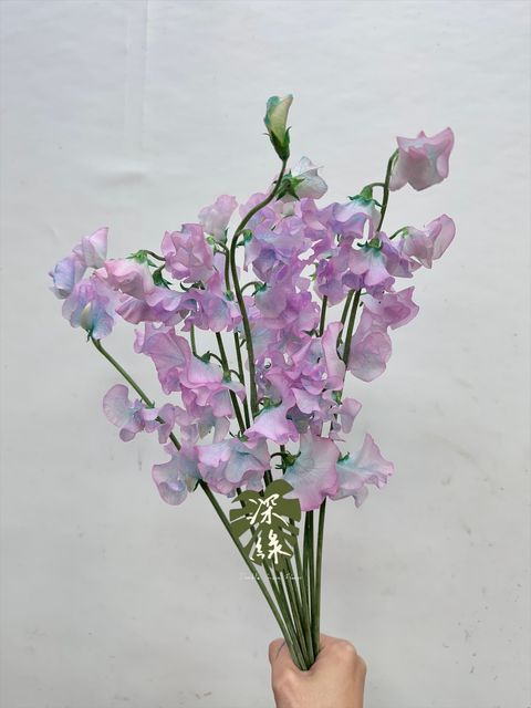 image_A75C52B0-C3C3-46F4-9751-3A5146F87CC0_1766379954