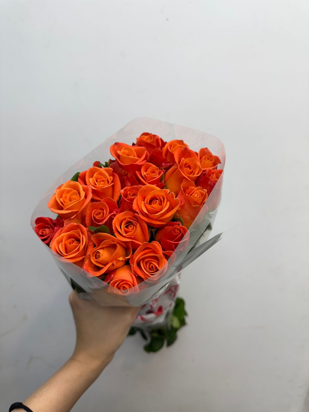 image_CE5E1A9F-F5B0-4B24-8668-8685FE1CA5D1_1766460634