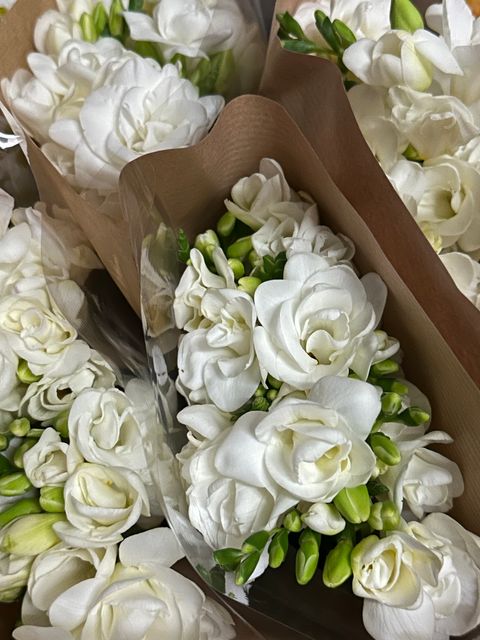 image_52915659-8FE7-4F2A-AB7C-7975A59AECBE_1766544015