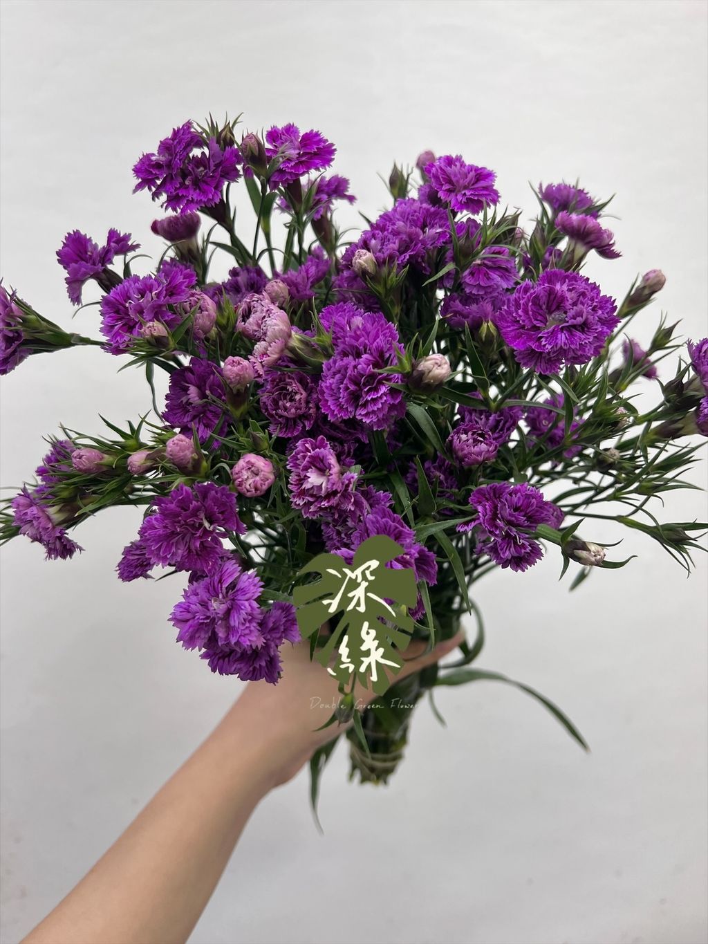 image_3D40C3AE-2835-48EF-8698-7404755A6B8F_1766545921