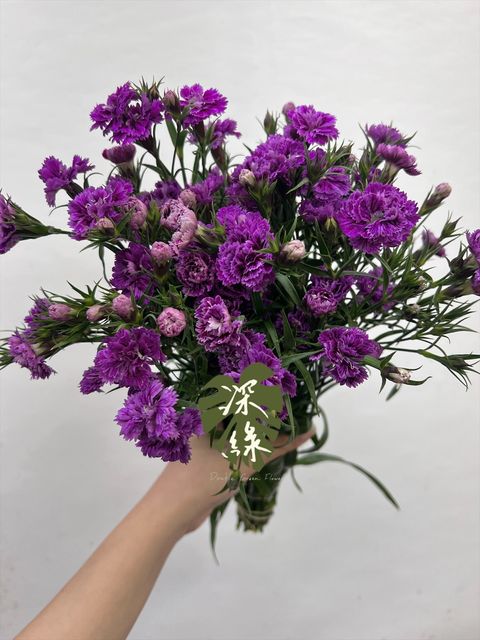 image_3D40C3AE-2835-48EF-8698-7404755A6B8F_1766545921