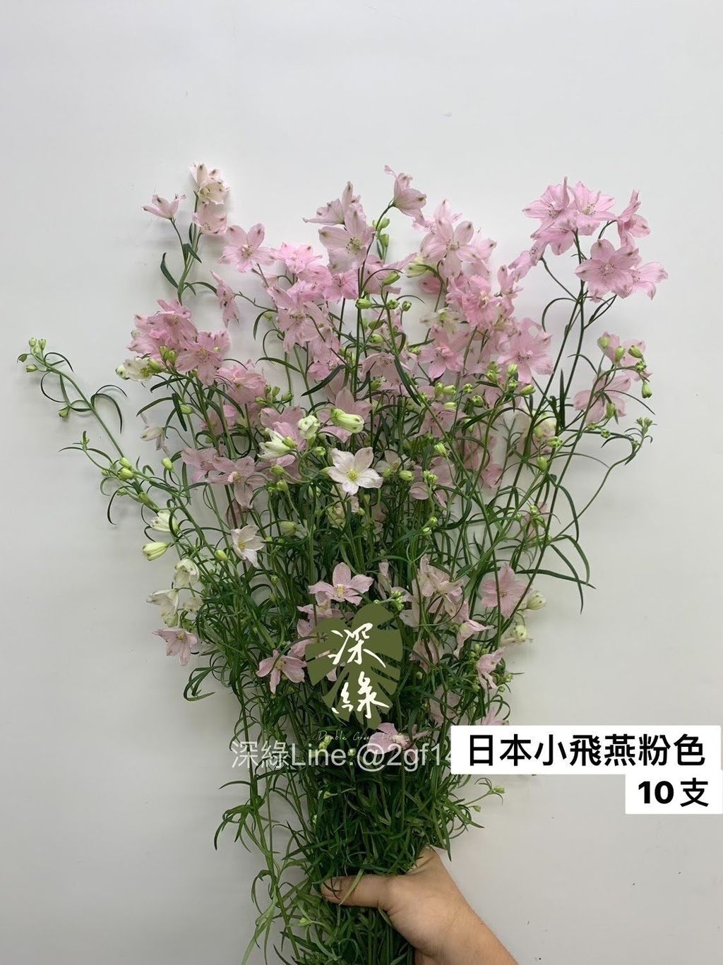 D0829D73-5459-40BD-A42A-DC08F86DB8C1