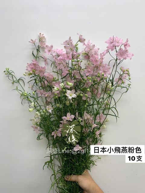 D0829D73-5459-40BD-A42A-DC08F86DB8C1