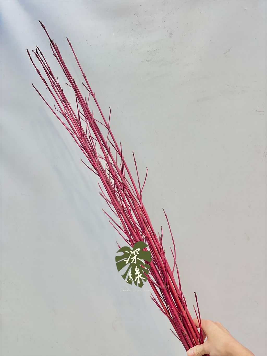 image_57D29B54-96FB-442A-A462-88E5543F55F4_1766884719