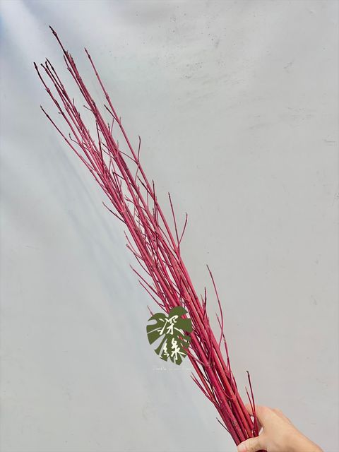 image_57D29B54-96FB-442A-A462-88E5543F55F4_1766884719