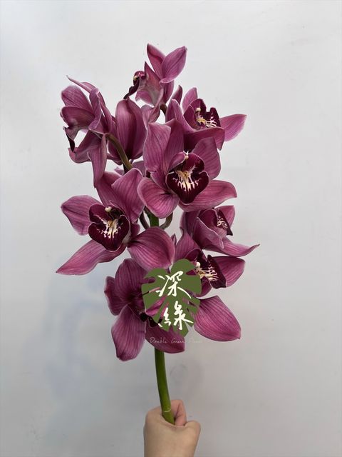 image_AF40F544-16C9-4E34-9F8C-BAB5CA3D7C4E_1766893720