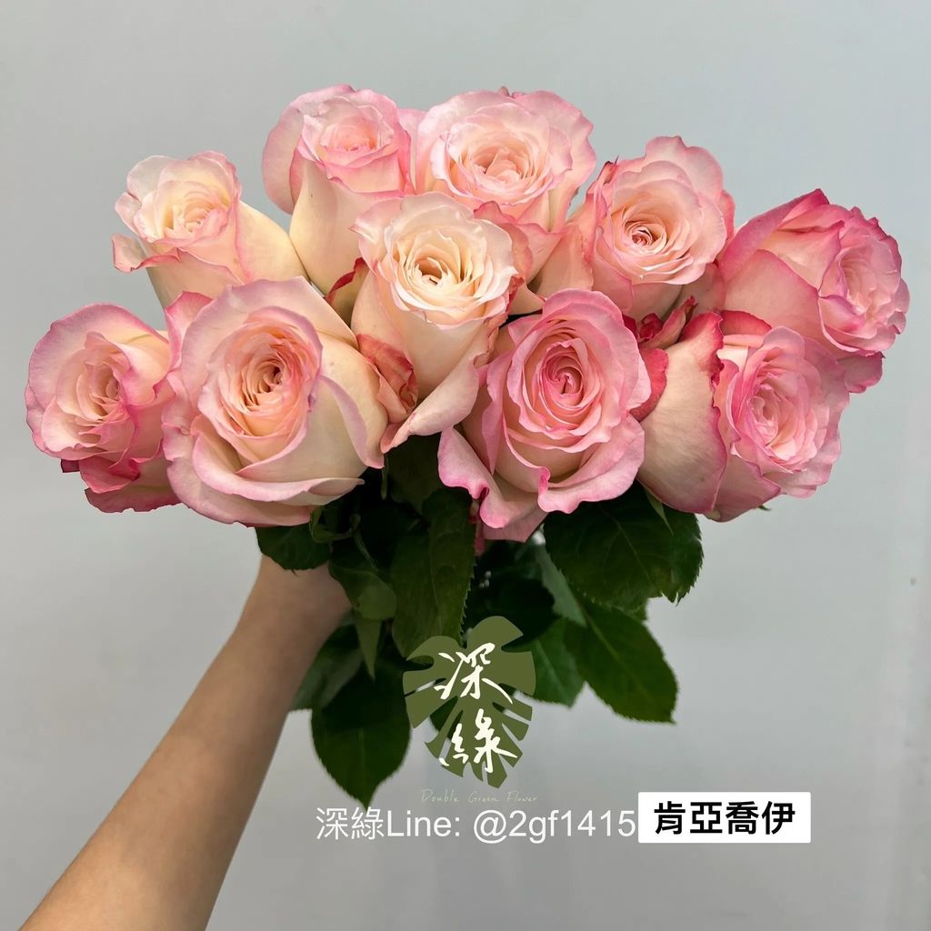 messageImage_1766990636998