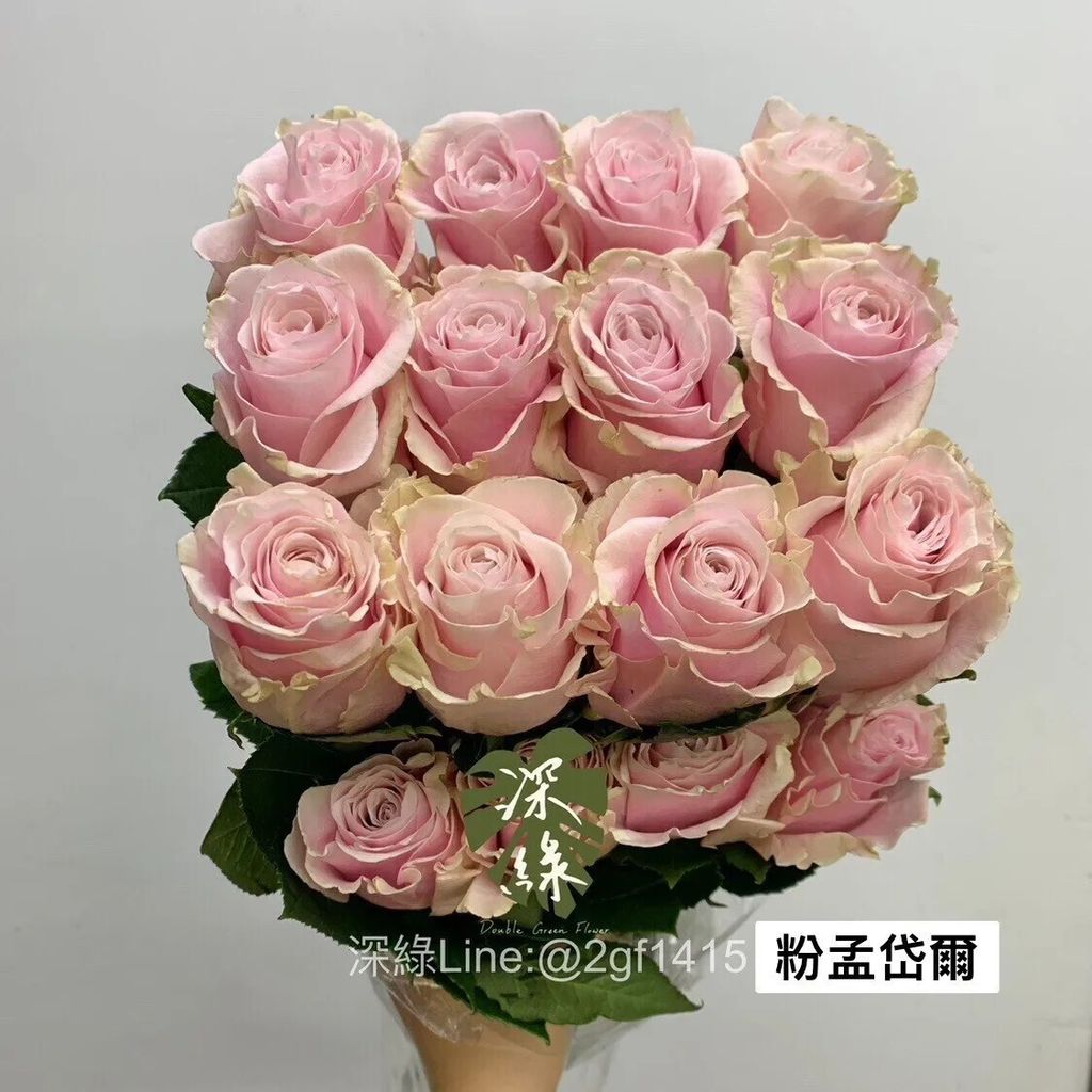 messageImage_1766990921951