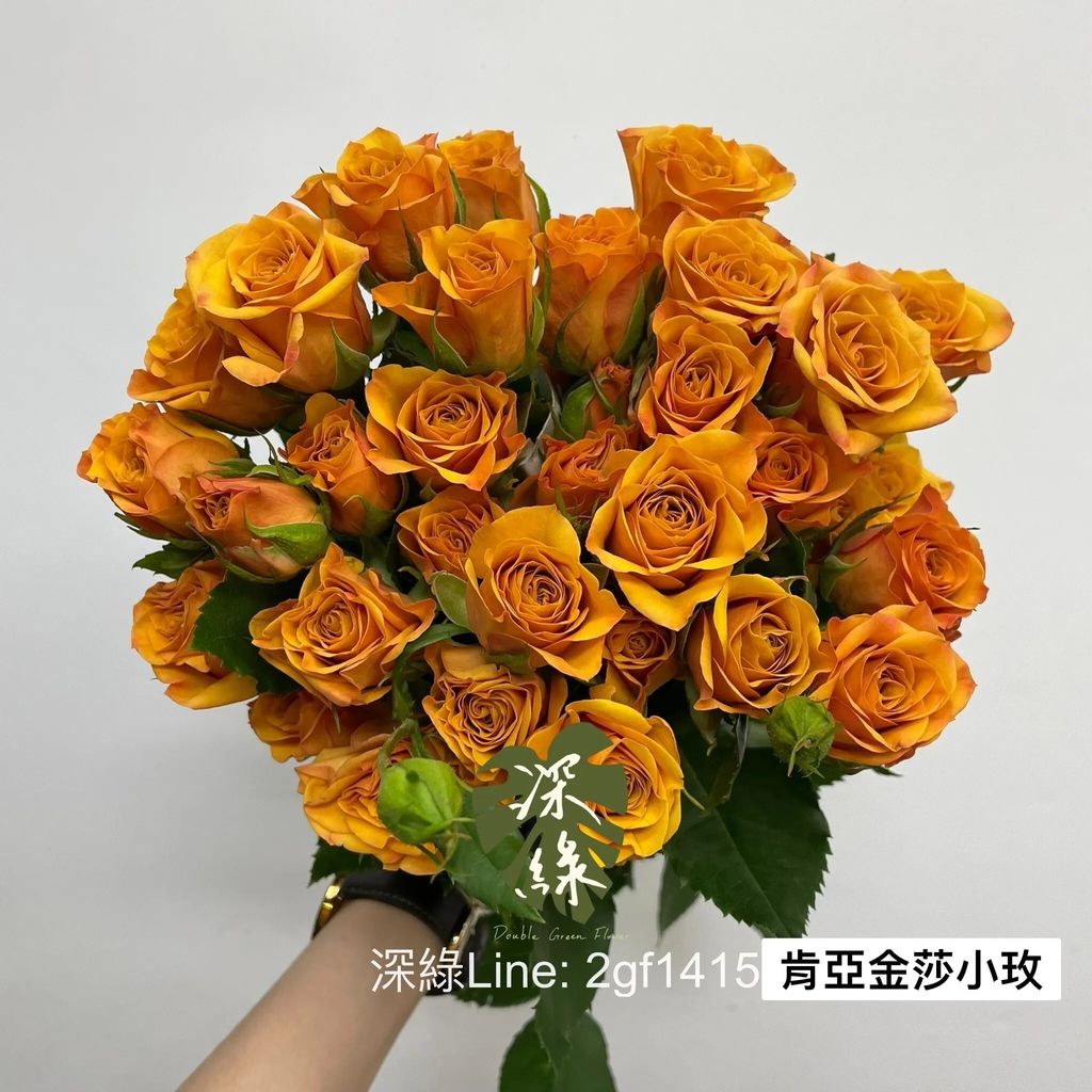 messageImage_1766990946777