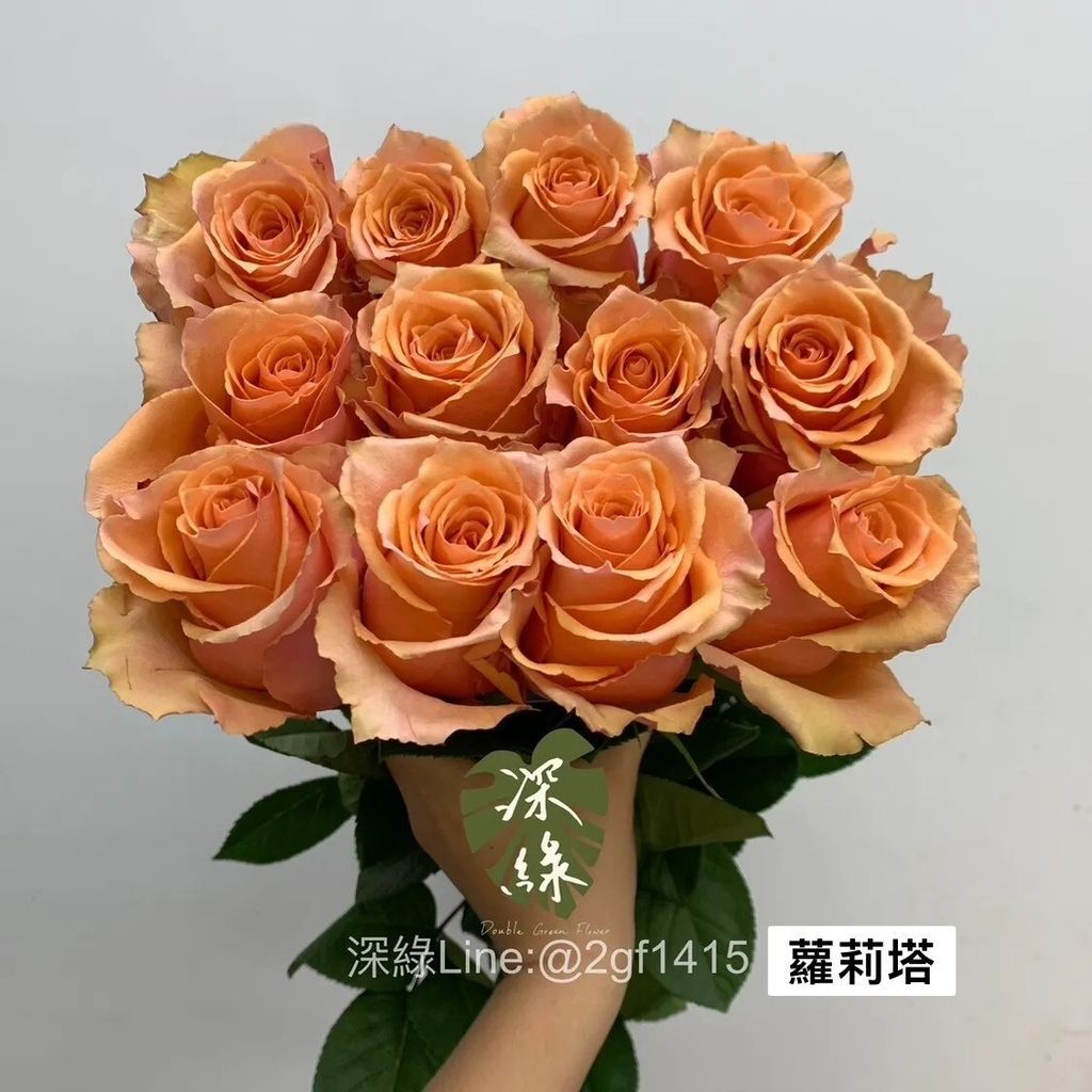 messageImage_1766991203151