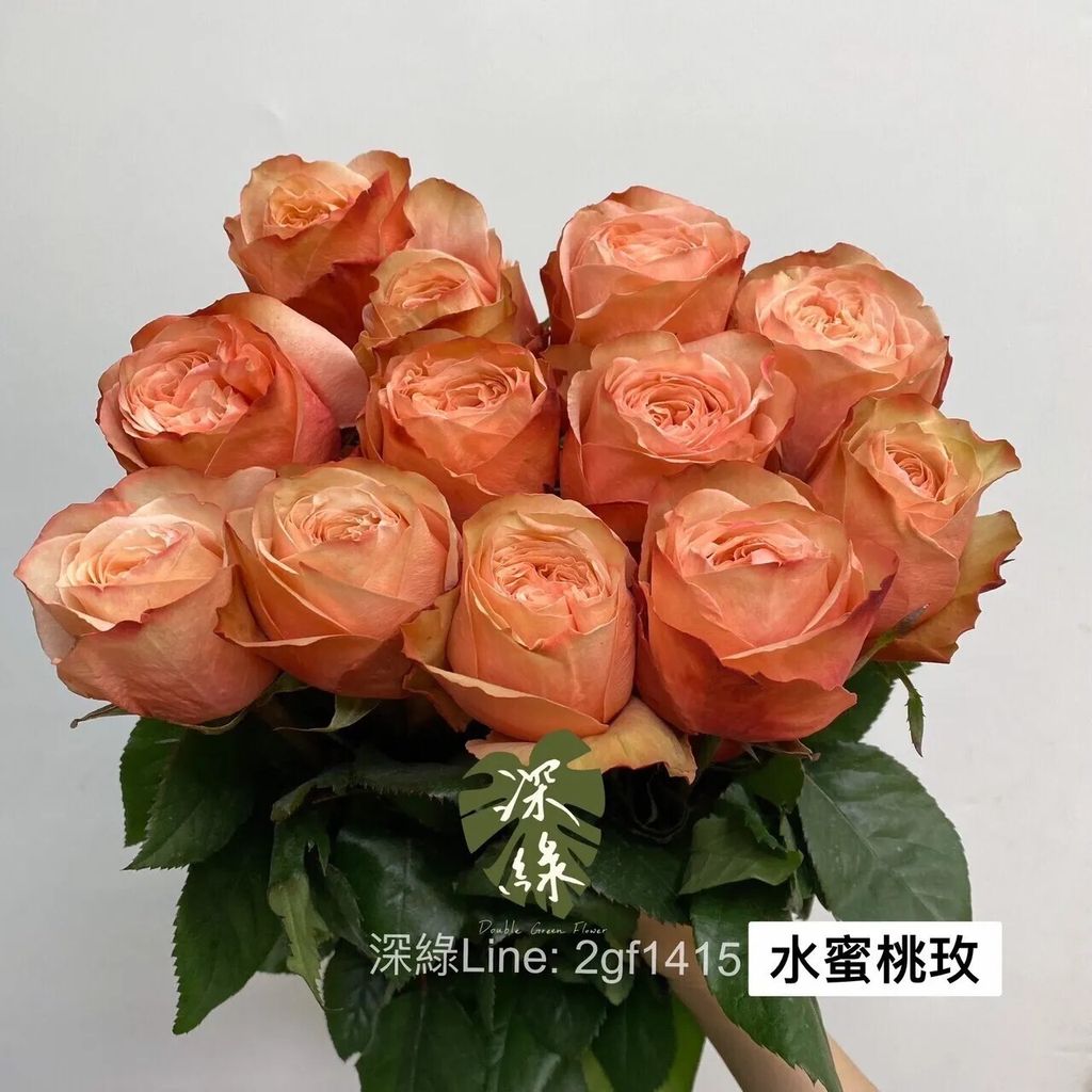 messageImage_1766991232290