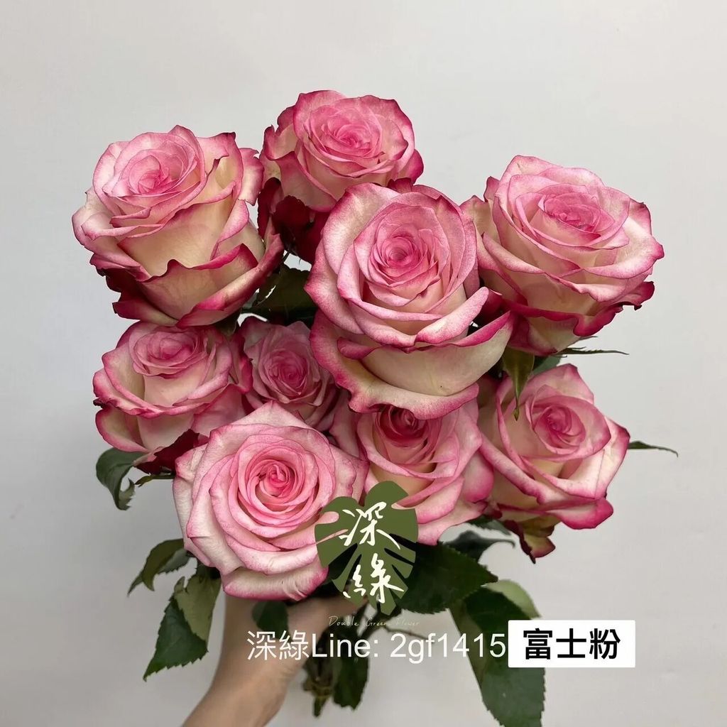 messageImage_1766991263906