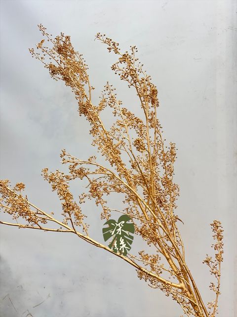 image_5C57F665-0004-4A8D-A29E-8C7903E591A0_1767075196