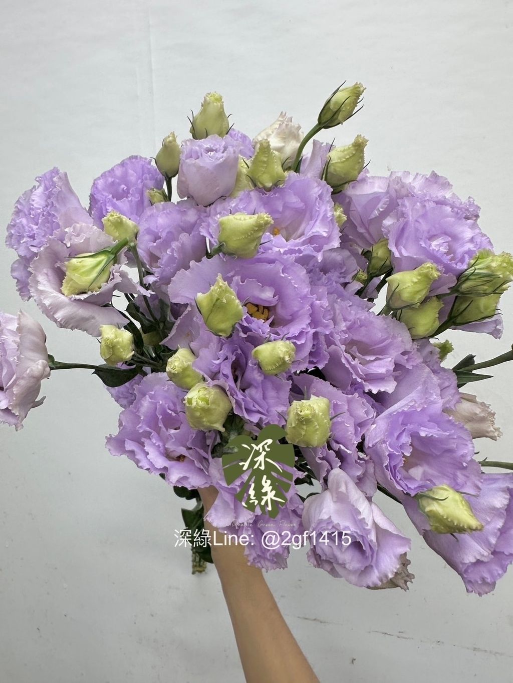 image_EAE2DA20-C154-40BE-812F-0C2E7522B98A_1764745811