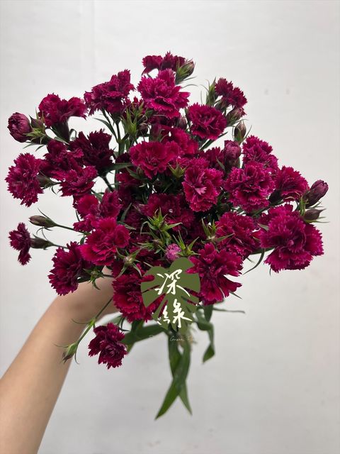 image_E23DAE33-21B0-46D3-82B8-872017BD3154_1767061568