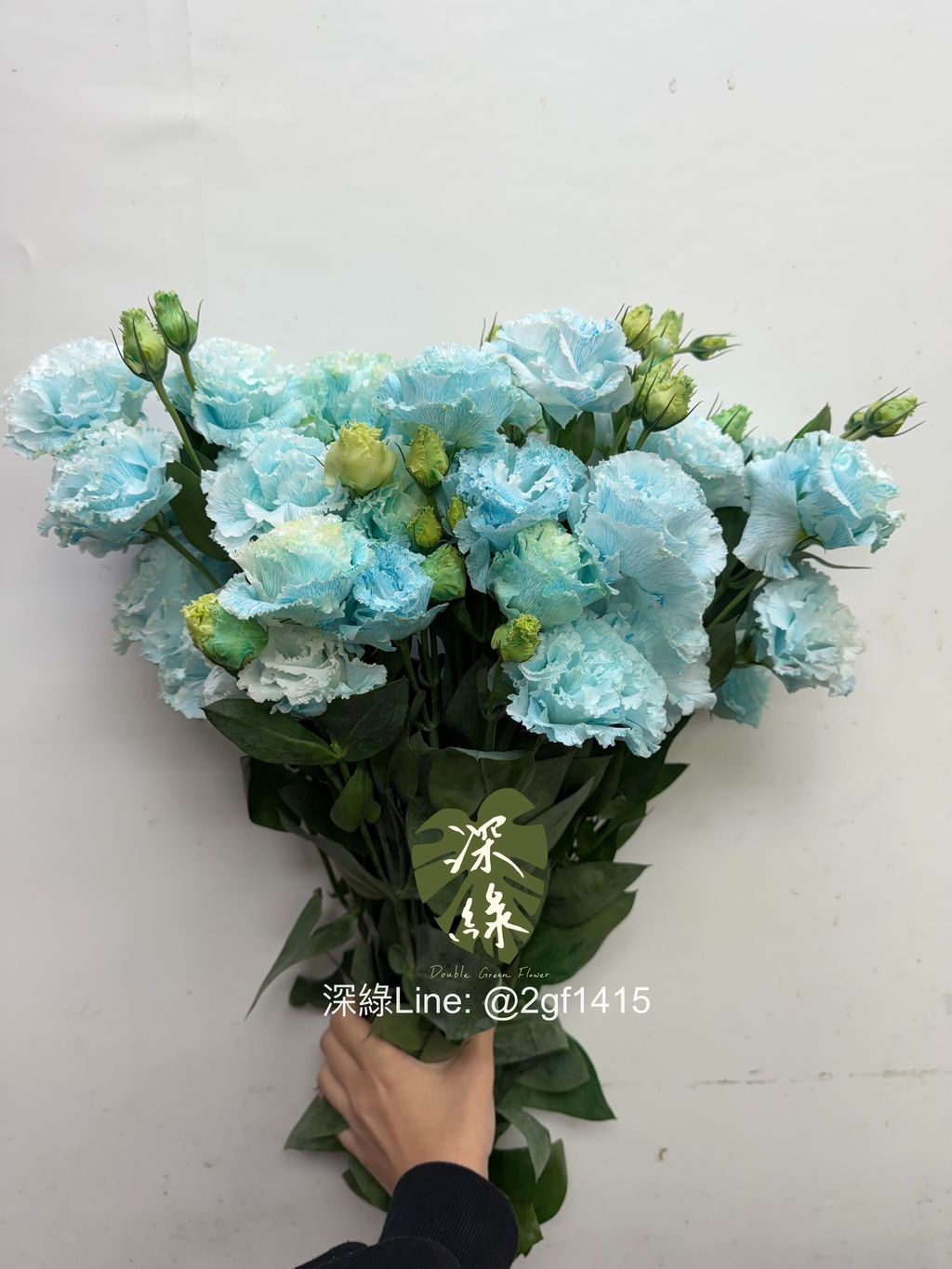 image_7244D10D-85F3-4F42-852F-7474C5B3EE9F_1767322842