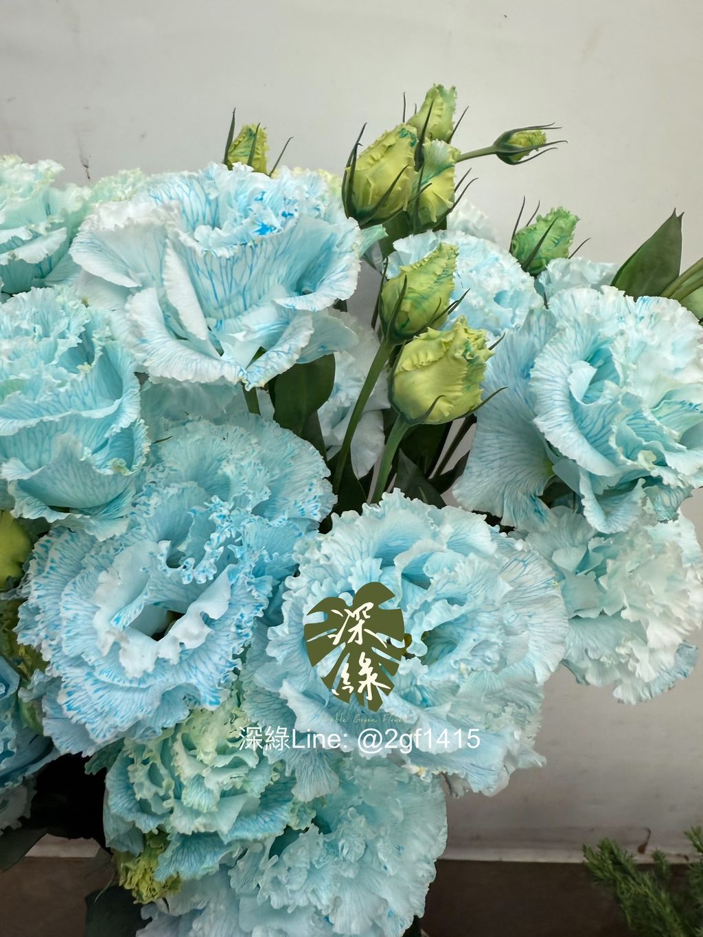 image_193AF3B1-39E3-403E-9969-D35BA6592D88_1767322842