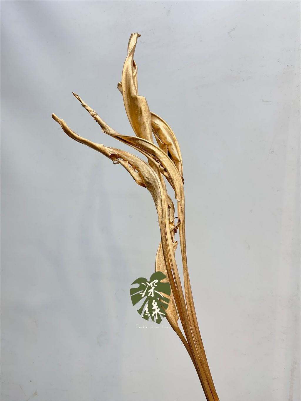 image_5A3D13E1-8F3A-4A33-9DB8-2C12A305ED1F_1767437347