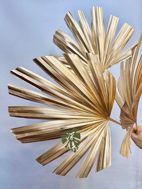 image_32810F6B-0214-4214-93D8-11624B5BB6E0_1767437402