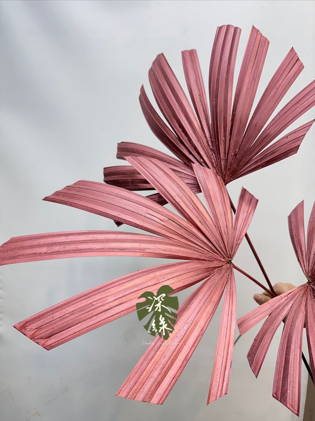 image_9F3BAADE-6D6B-4E7F-9ADE-56B1BC643B1F_1767437446