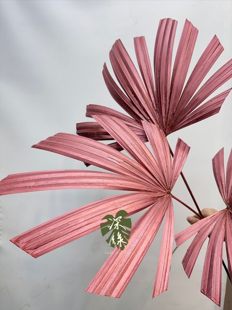 image_9F3BAADE-6D6B-4E7F-9ADE-56B1BC643B1F_1767437446