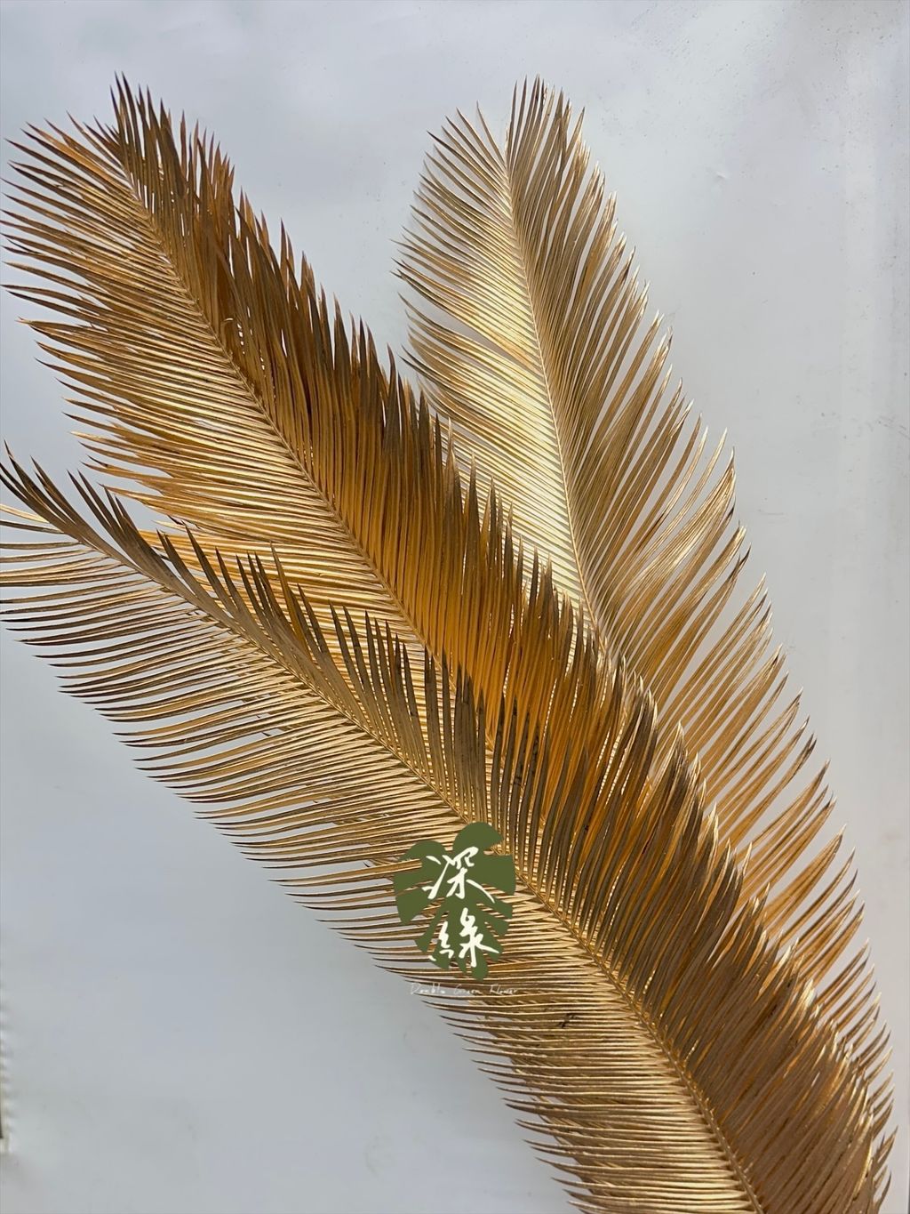 image_FEB66158-9A3F-40C9-A6F8-4886A5EE1CB2_1767437494