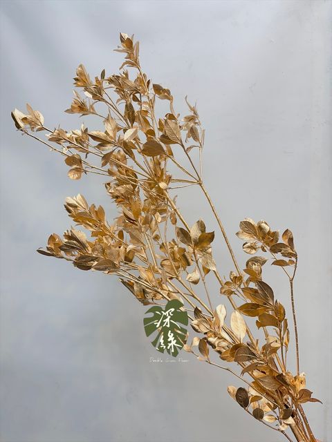 image_769C29D9-BFD7-4CFB-BE33-9914A29B3441_1767437563