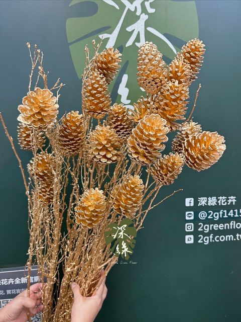 image_971C1387-7A27-4580-B4FF-987438A773B3_1767437720